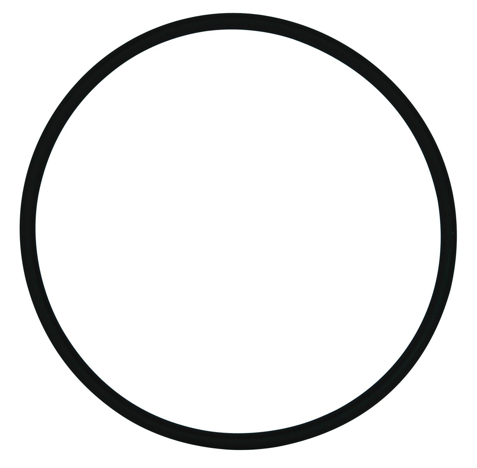 SYR O-Ring 2315.01.922, Ersatzteil für Filtertasse DRUFI+ Modell 2315 - Bild 1