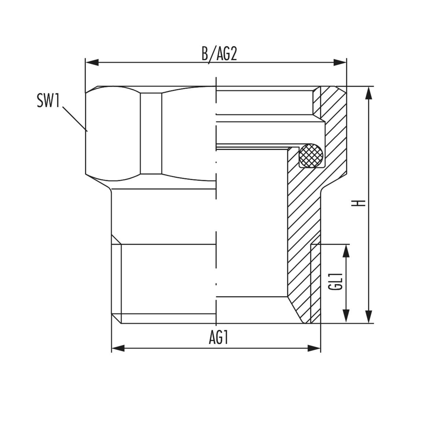 Hummel Verlängerung 30 mm G 3/4 IG x G 3/4 AG, Messing vernickelt 2555343401 - Bild 2